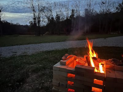 Learning to Hunt as an Adult: Better Late Than Never