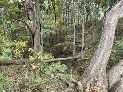 Don’t Just Walk Into the Woods: A Beginner’s Guide to Digital and Boot Scouting…part 2 of 3
