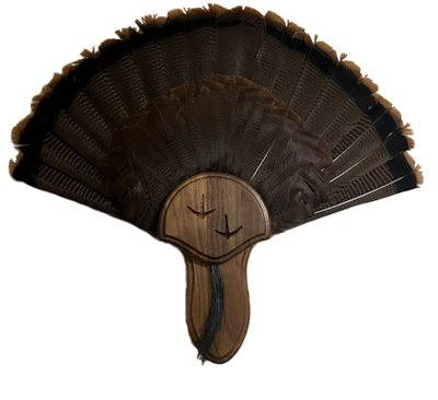 Taxidermists Woodshop Black Walnut Turkey Mounting Kit